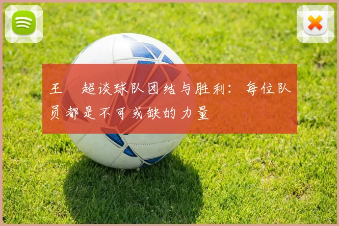 王燊超谈球队团结与胜利：每位队员都是不可或缺的力量