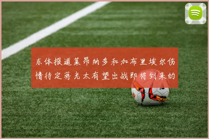 东体报道莱昂纳多和加布里埃尔伤情待定蒋光太有望出战即将到来的比赛