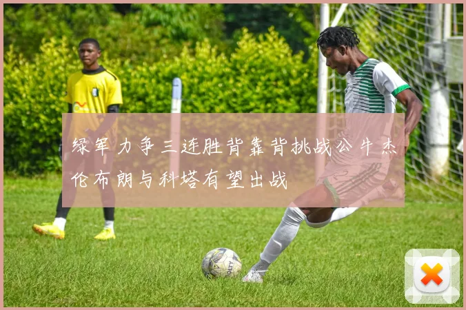 绿军力争三连胜背靠背挑战公牛杰伦布朗与科塔有望出战